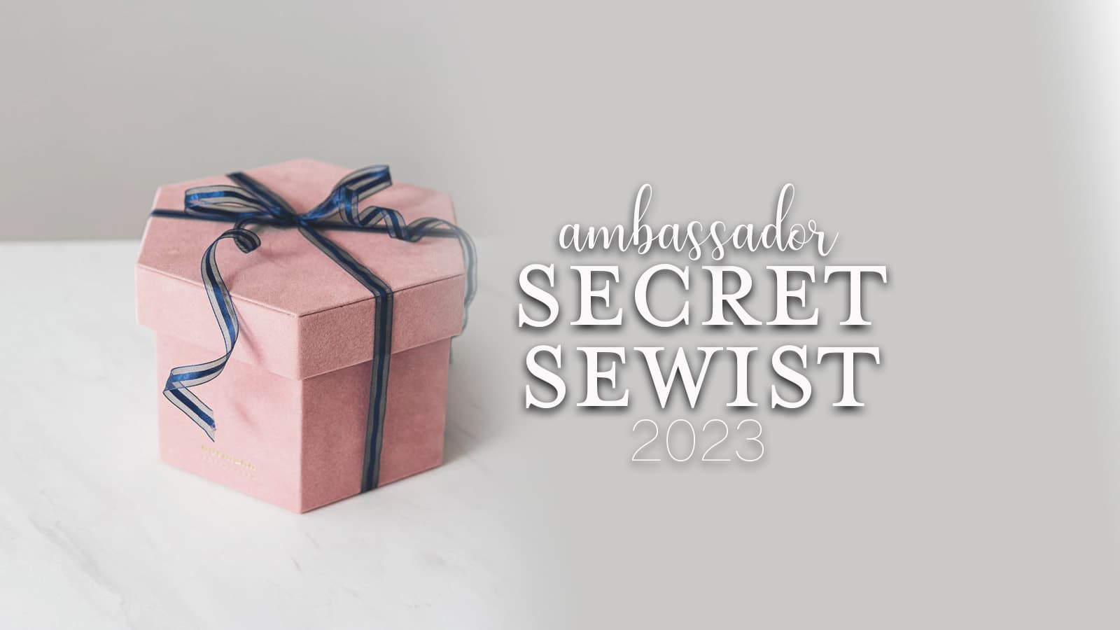 Secret Sewist Reveal 2023